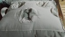 Almohadon Matero